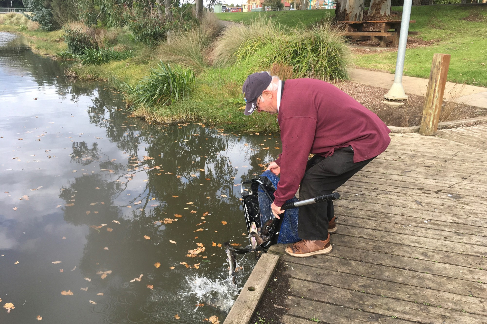 Happy fishing: Cobden Angling Club member Neville Robertson helped release rainbow trout at Lake Cobden.