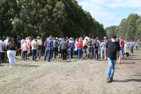 The auction on Saturday proved popular, with a wide assortment of goods on offer. 