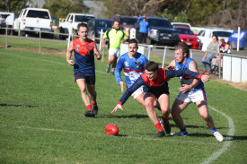 Lachlan Rosolin hustles near the boundary. 