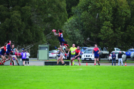 High flyer: Sam Negrello was in the votes for his ruck-work and marks around the ground for the Demons. 