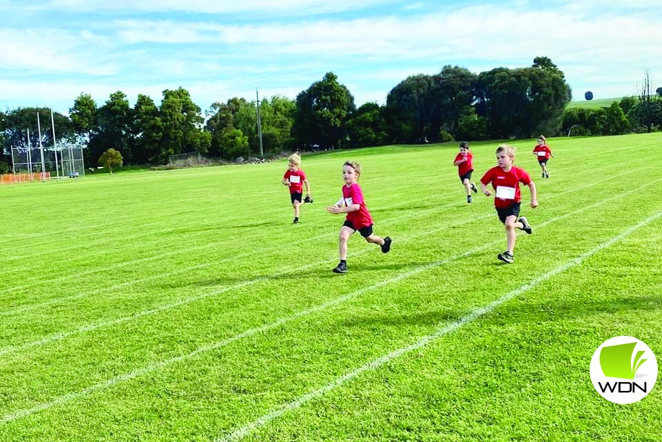 Camperdown Little Aths - feature photo