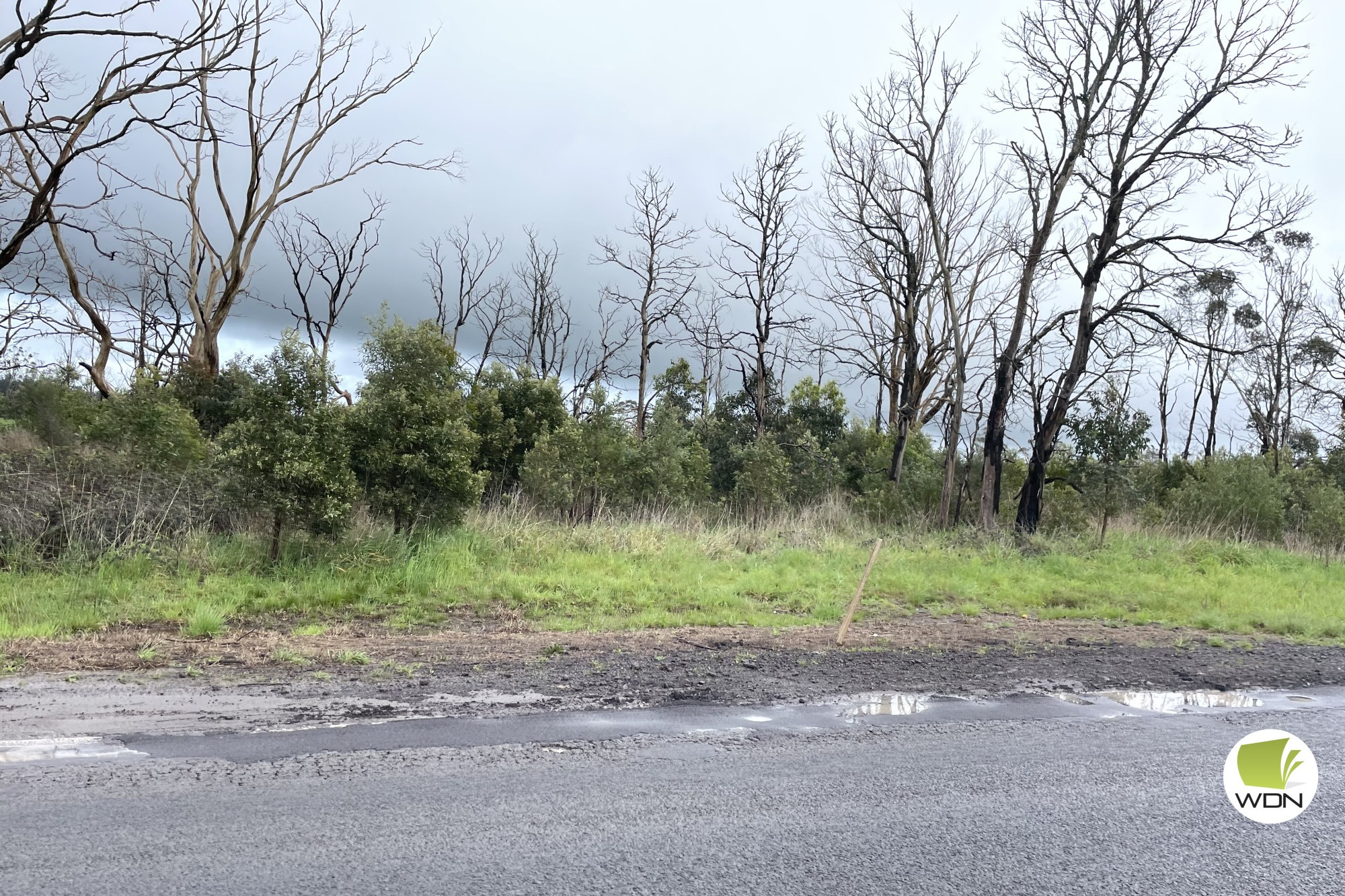 Fustrating: Sections of the Cobden-Warrnambool Road continue to deteriorate.