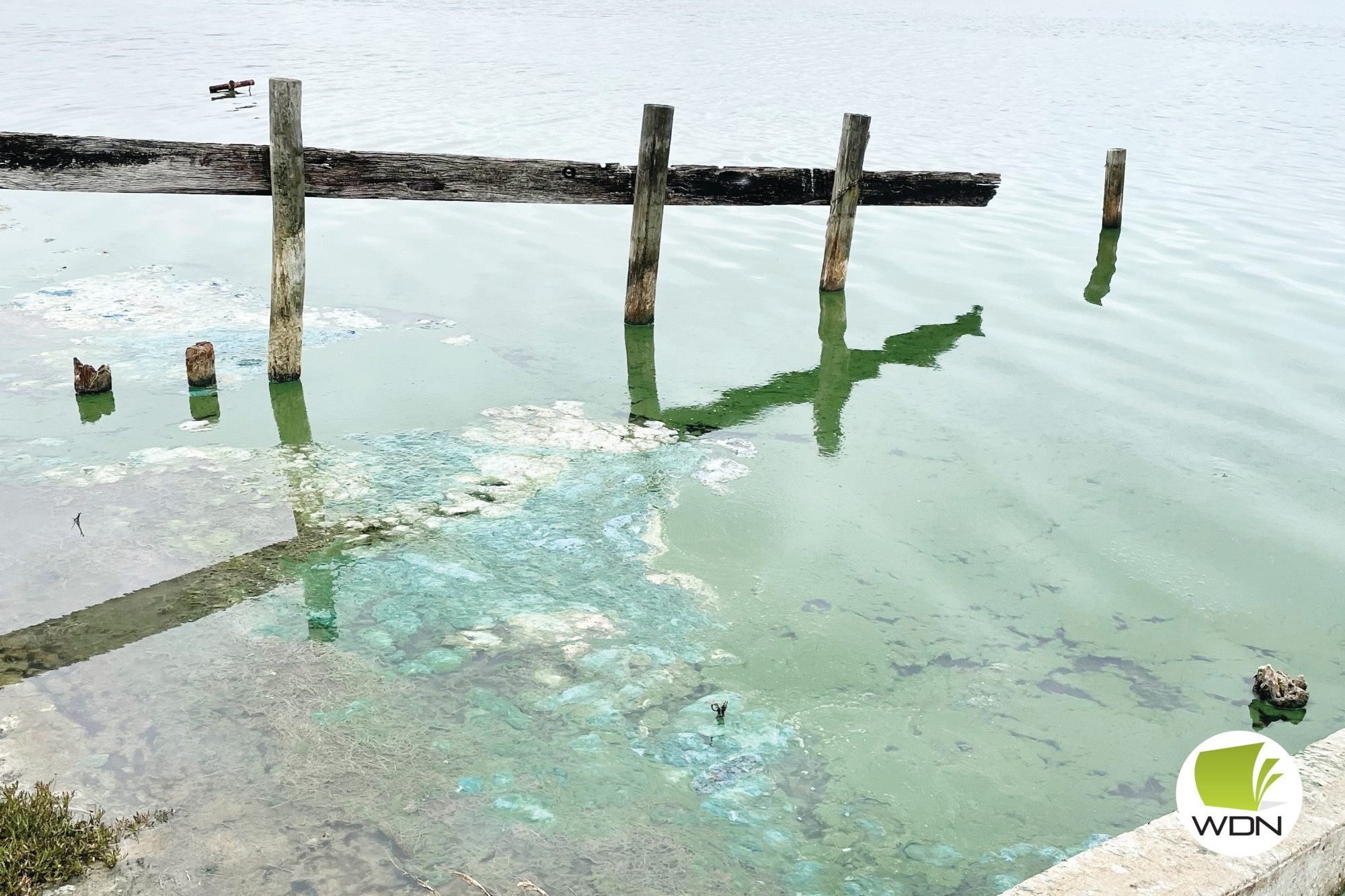 Chance for action: The Curdies River at Peterborough has been plagued with blue green algae, a community forum is being held this weekend.