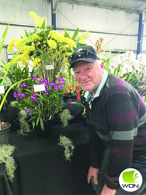 Caroline Lucas with her first place standard cymbidium.