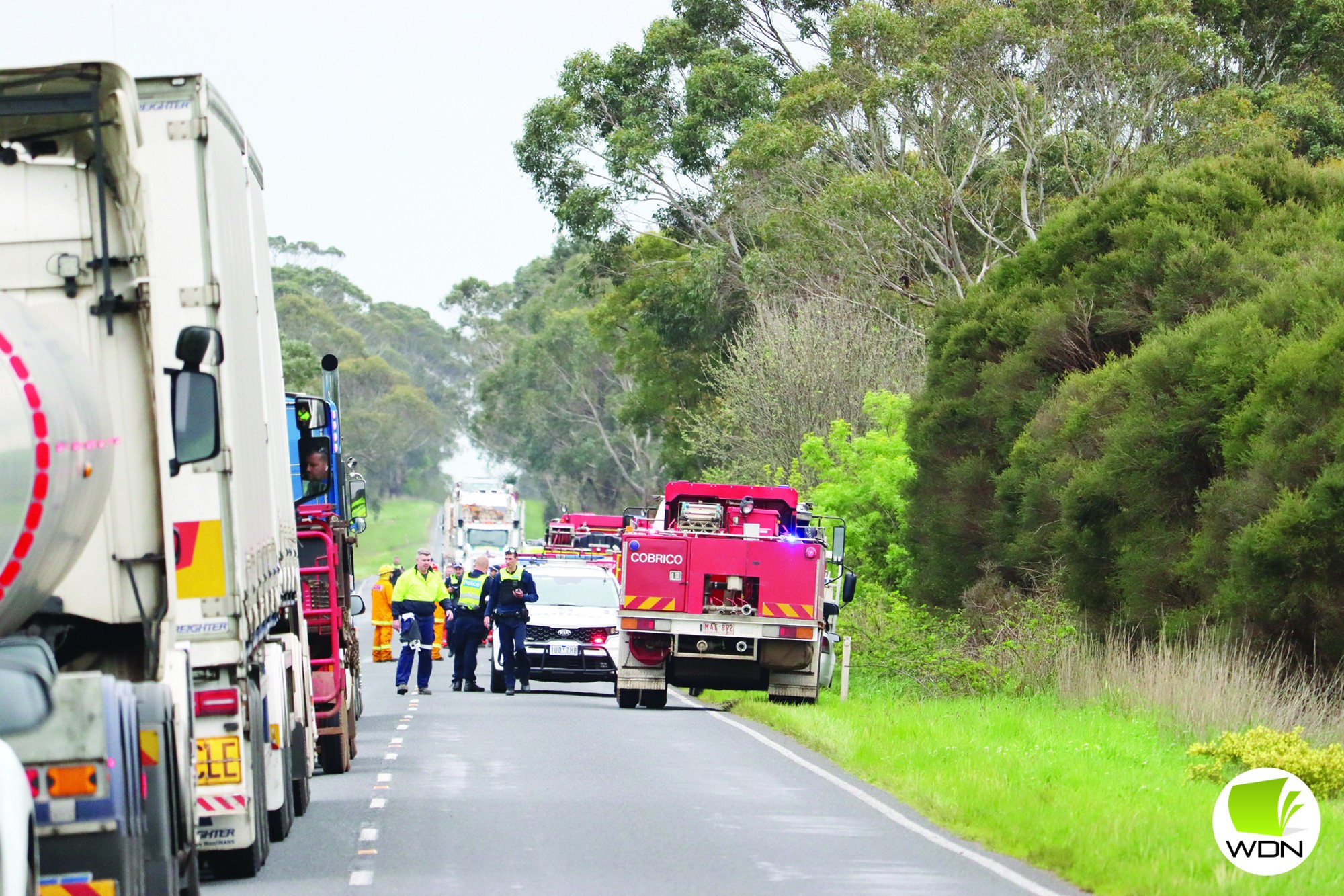 Lucky escape - feature photo