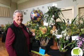 Betty Stevenson with her grand champion orchid. 