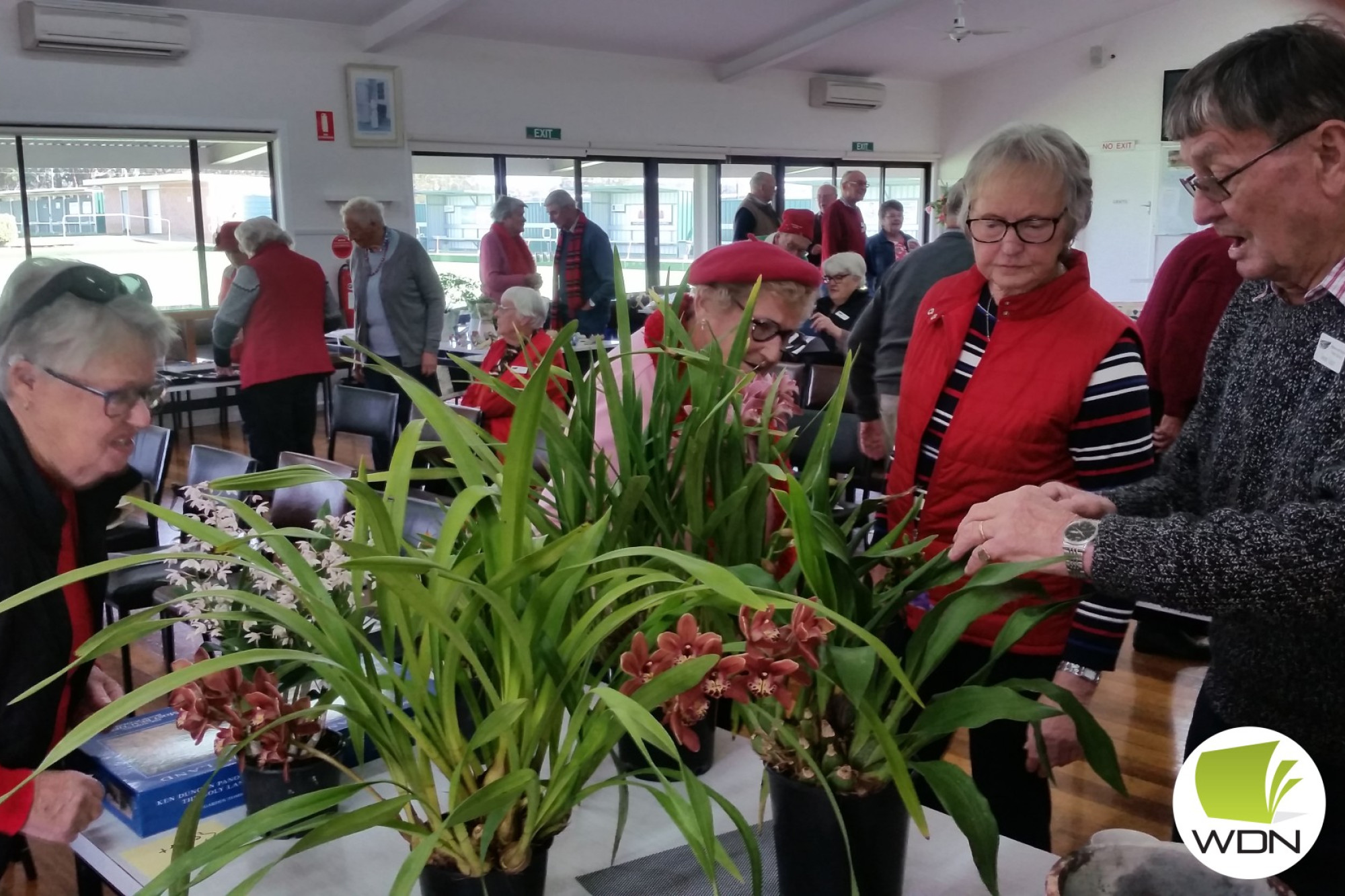 Timboon Probus Club Notes October - feature photo
