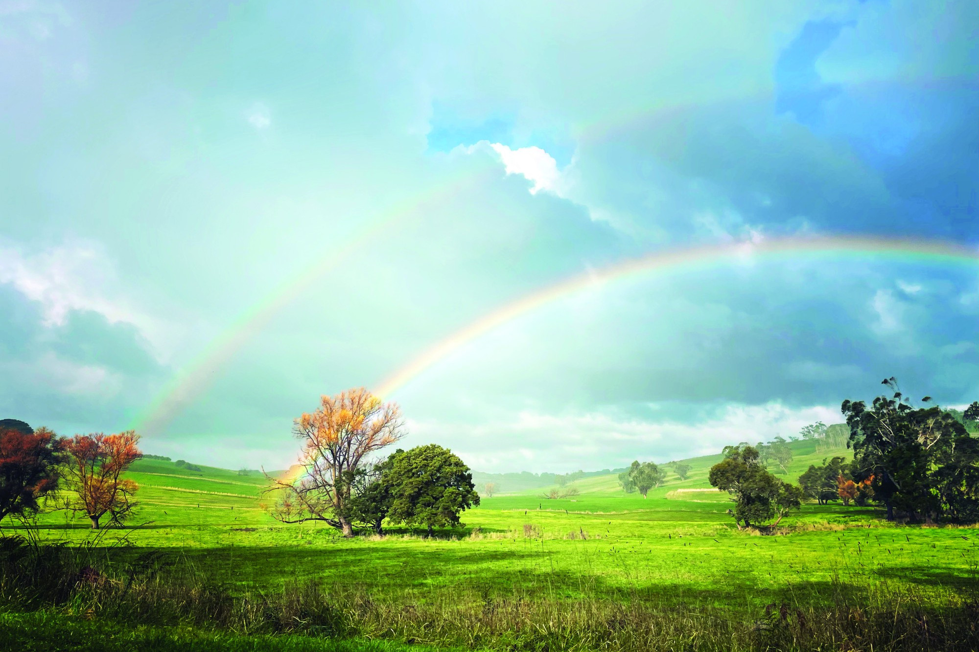 Rainbows aplenty: Winter brought with it a mixed bag of results for rain across the region.