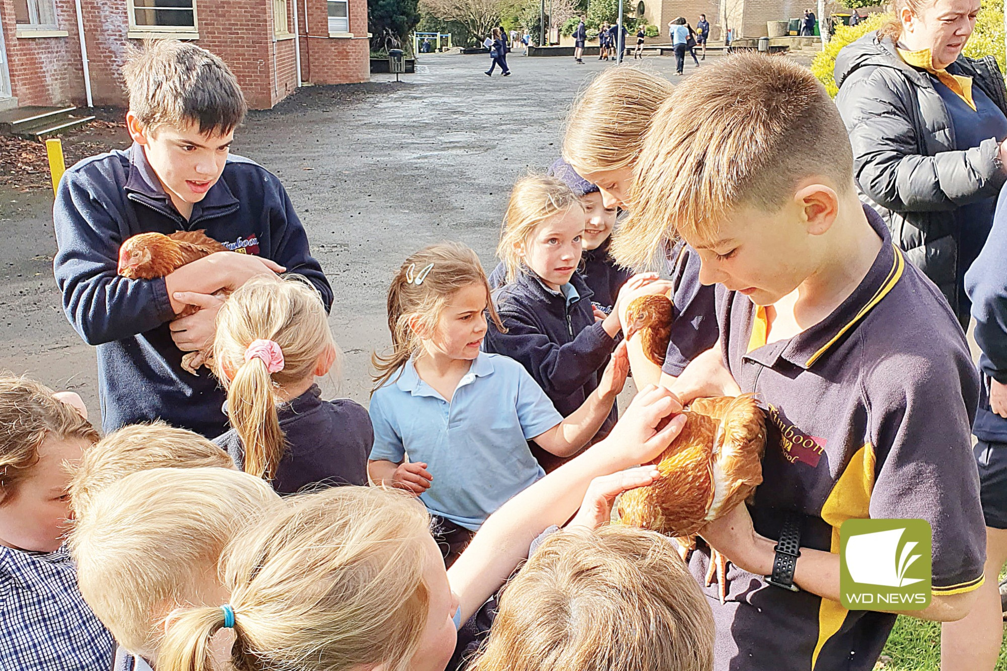 Chicken coop: Timboon P-12 School has a welcomed a few visitors to the school as part of a program.