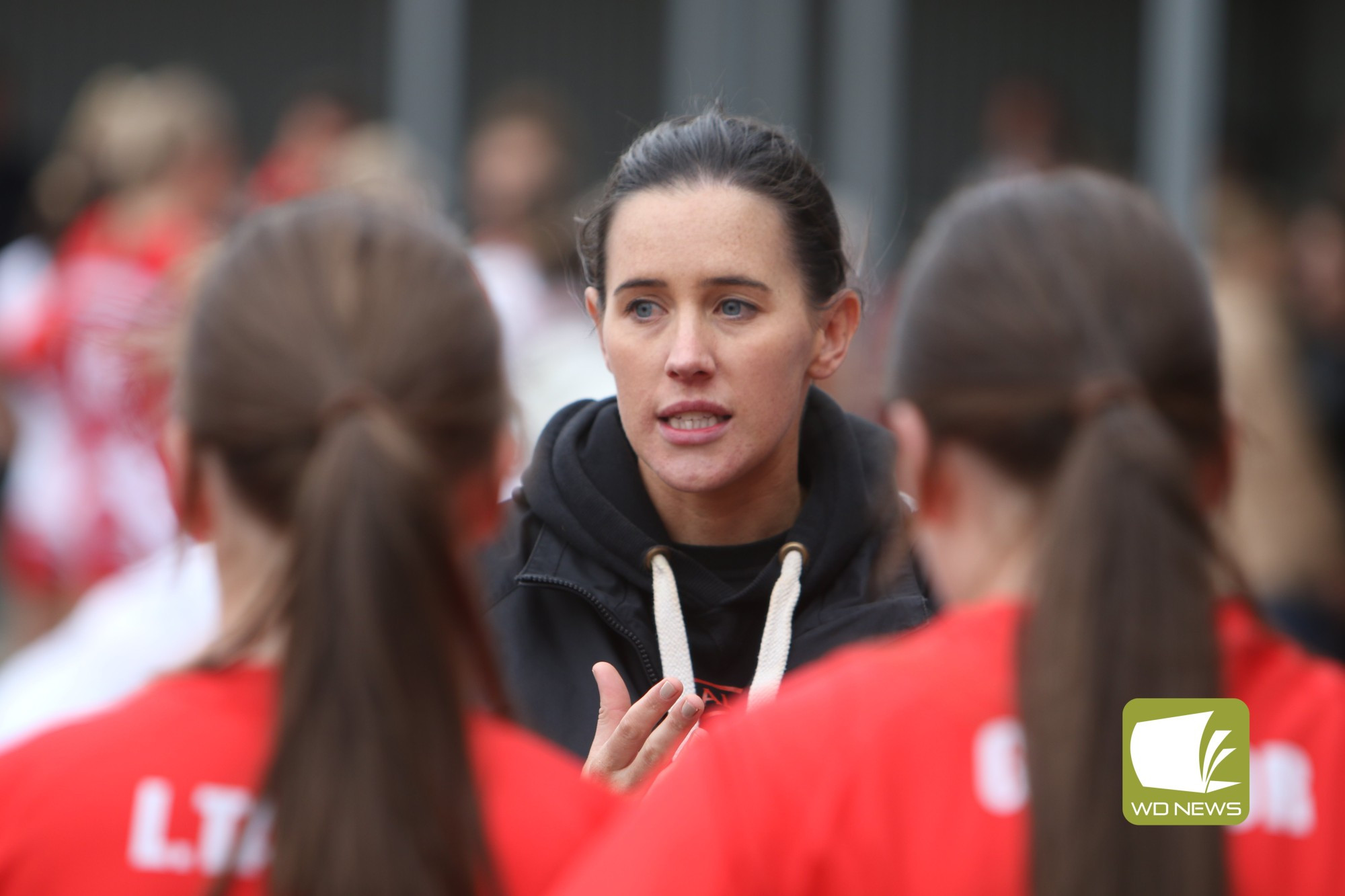 Hinkley re-appointed to lead Bombers - feature photo