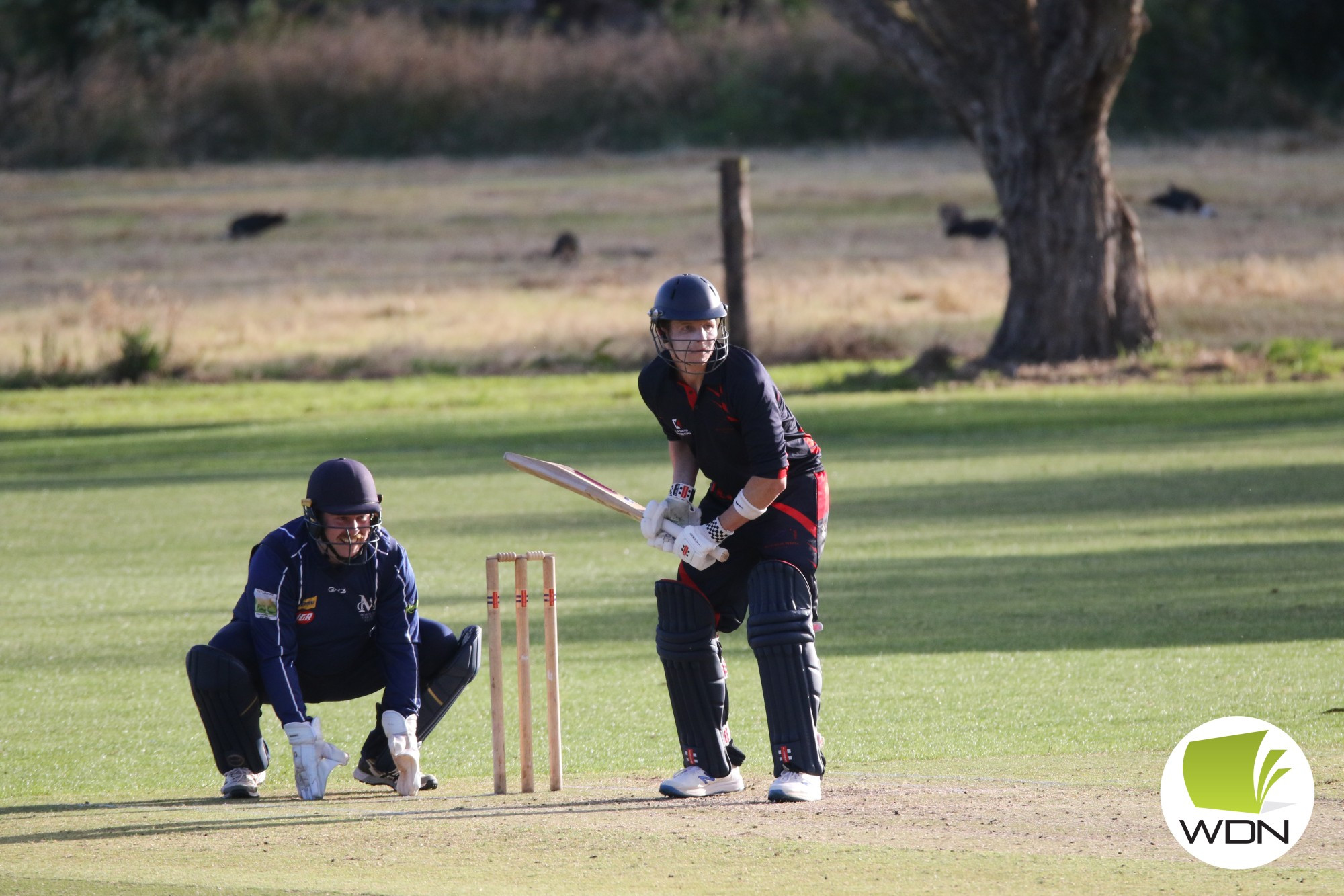 Century for Harkness - feature photo