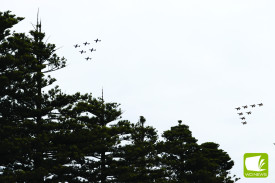 The planes passed over Port Campbell’s bay before turning inland. 