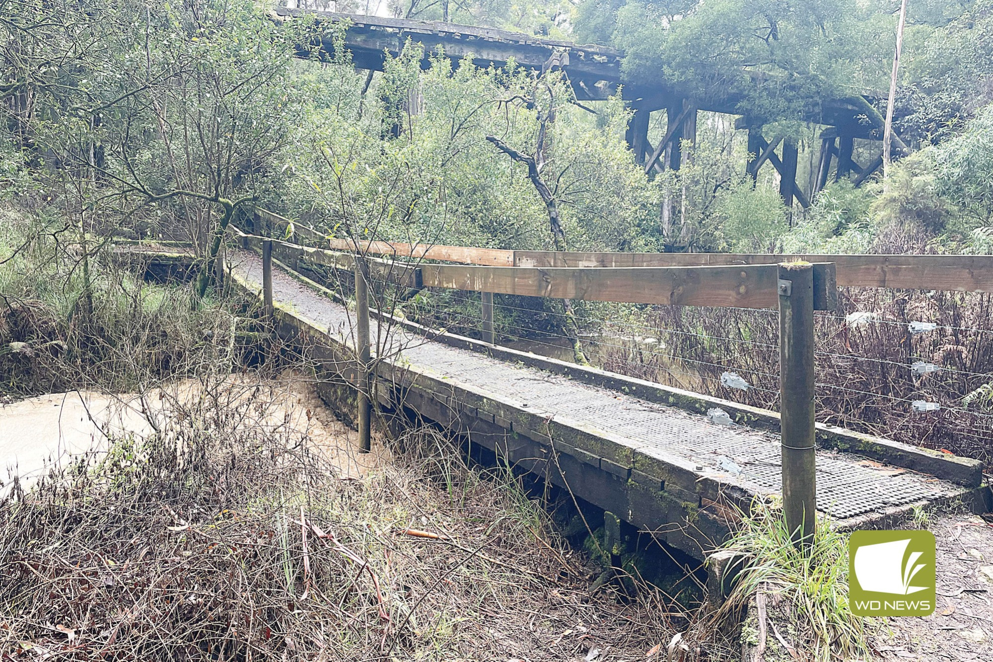 Contract: Bridge 15 (pictured) is one of two bridges on the Camperdown-Timboon Rail Trail set to be upgraded early next year.
