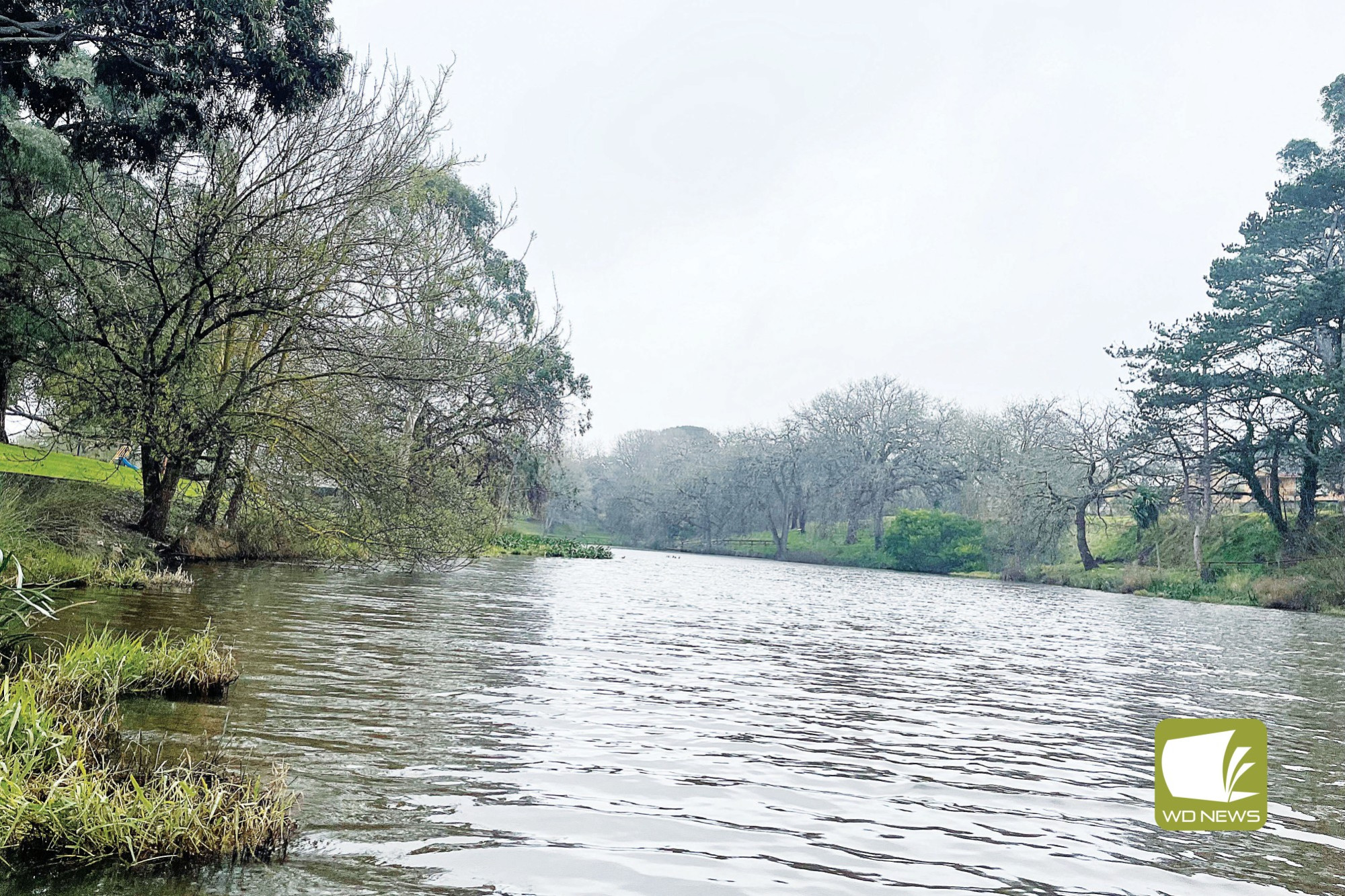 Rainy days: There was above average rainfall recorded in Cobden throughout June.