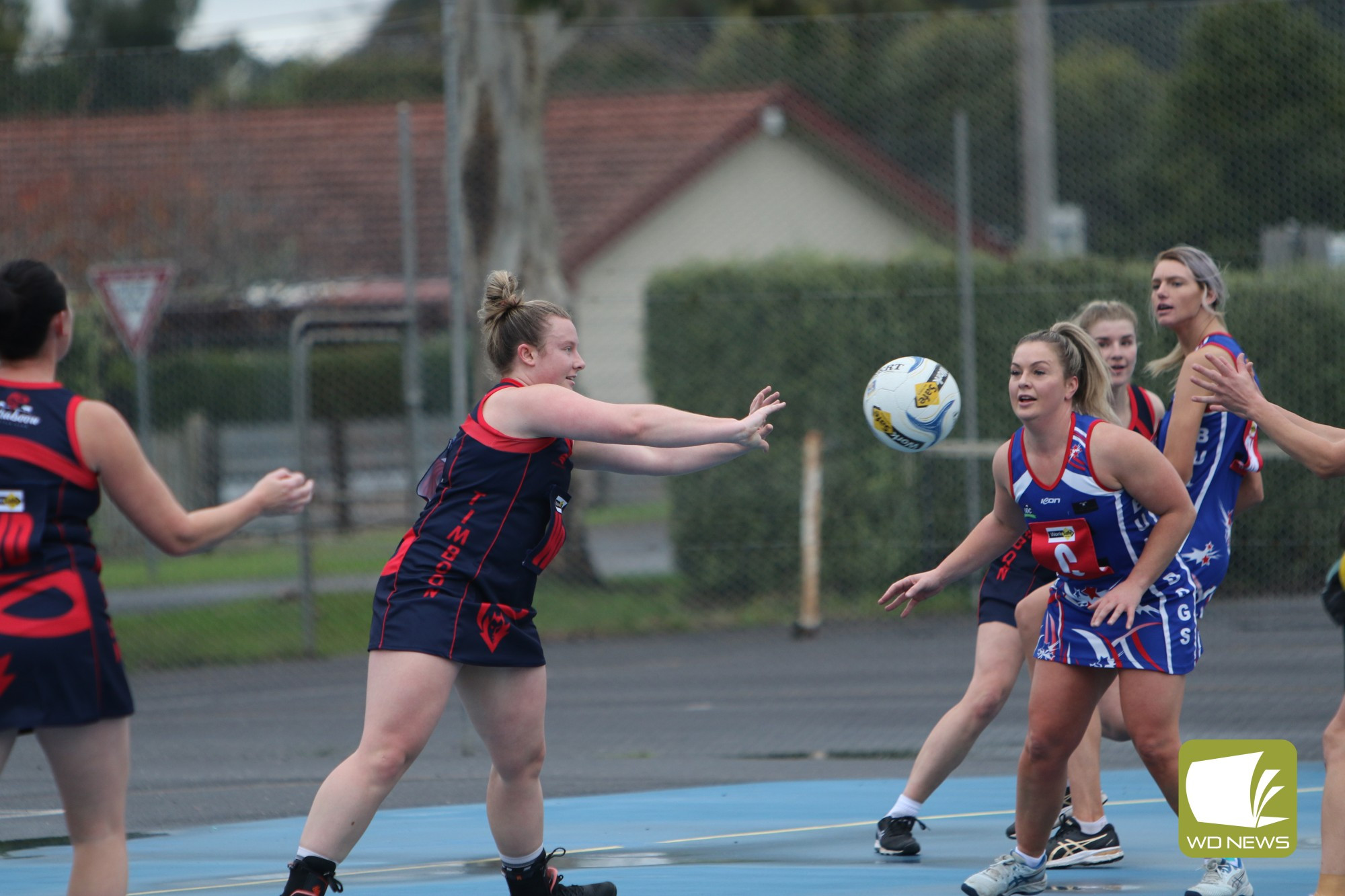 Panmure too strong - feature photo