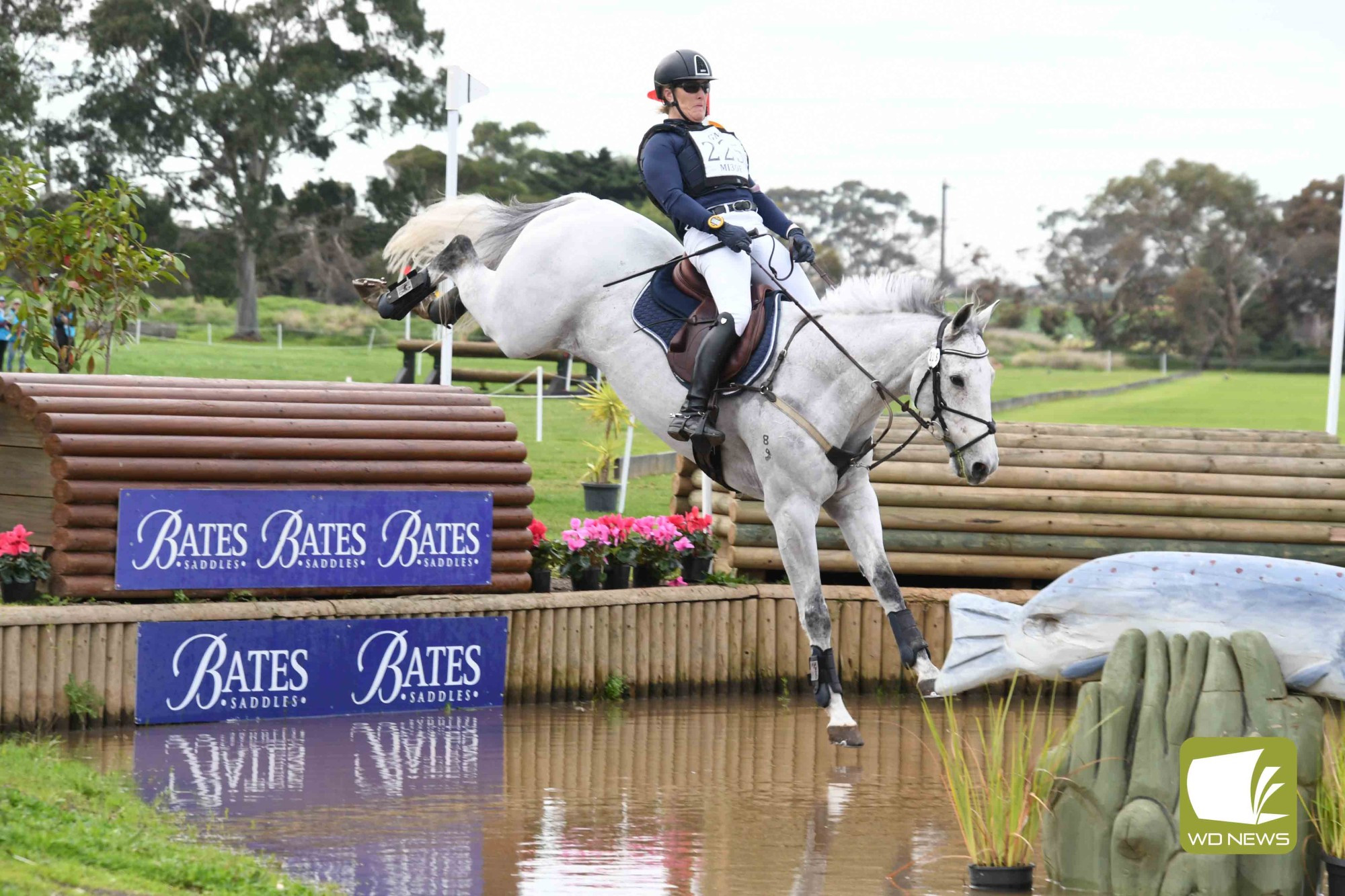 Fiona Hawkes and ‘Harley Quinn’