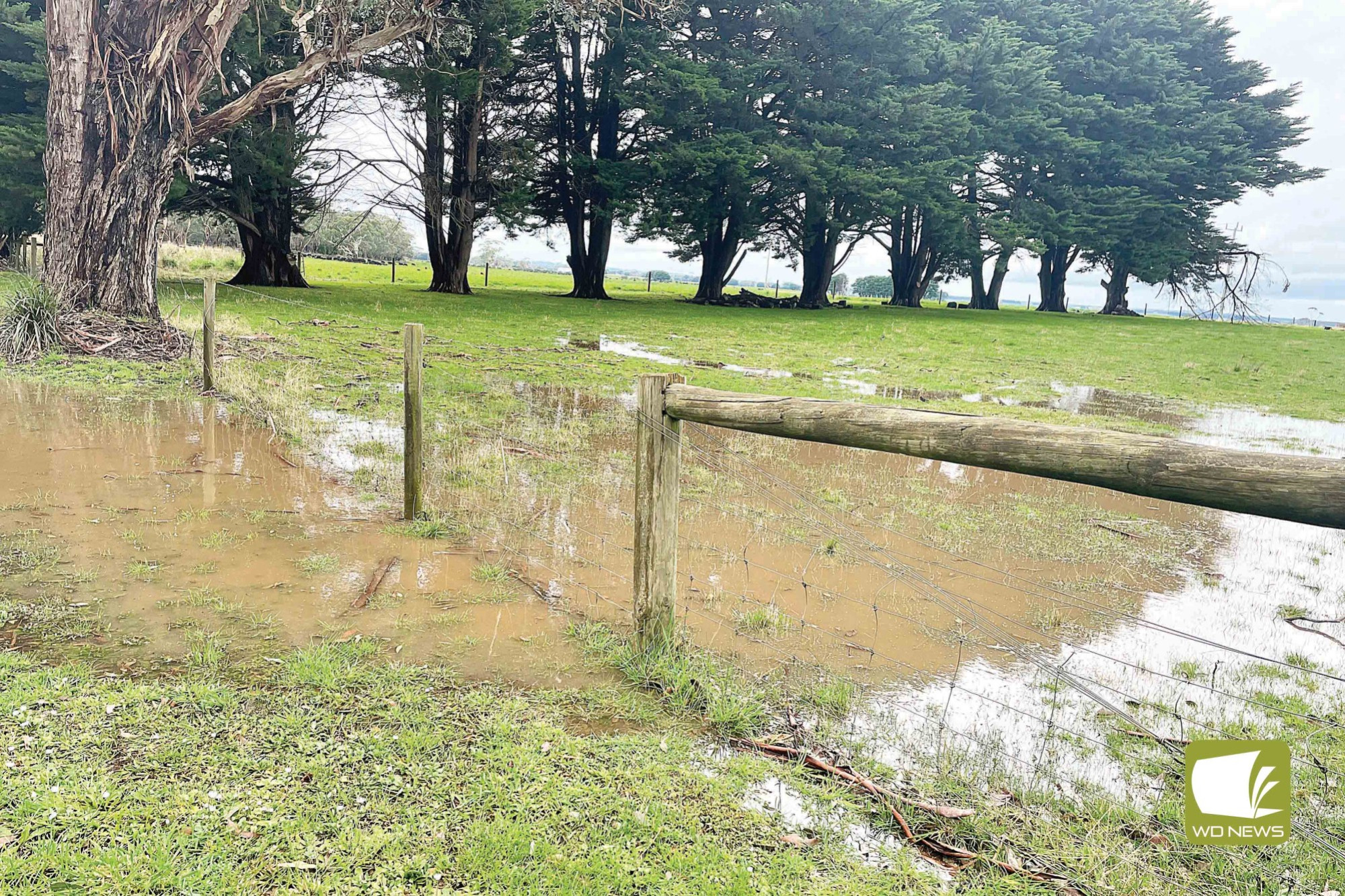 Rain fall: More than 200mm of rain fell over Cobden and surrounds in autumn.