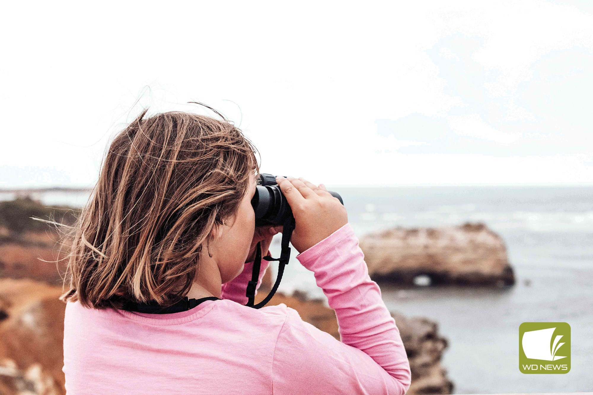 Whale watching: A partnership is helping Port Campbell locals and visitors alike to have the best chance of spotting a whale.