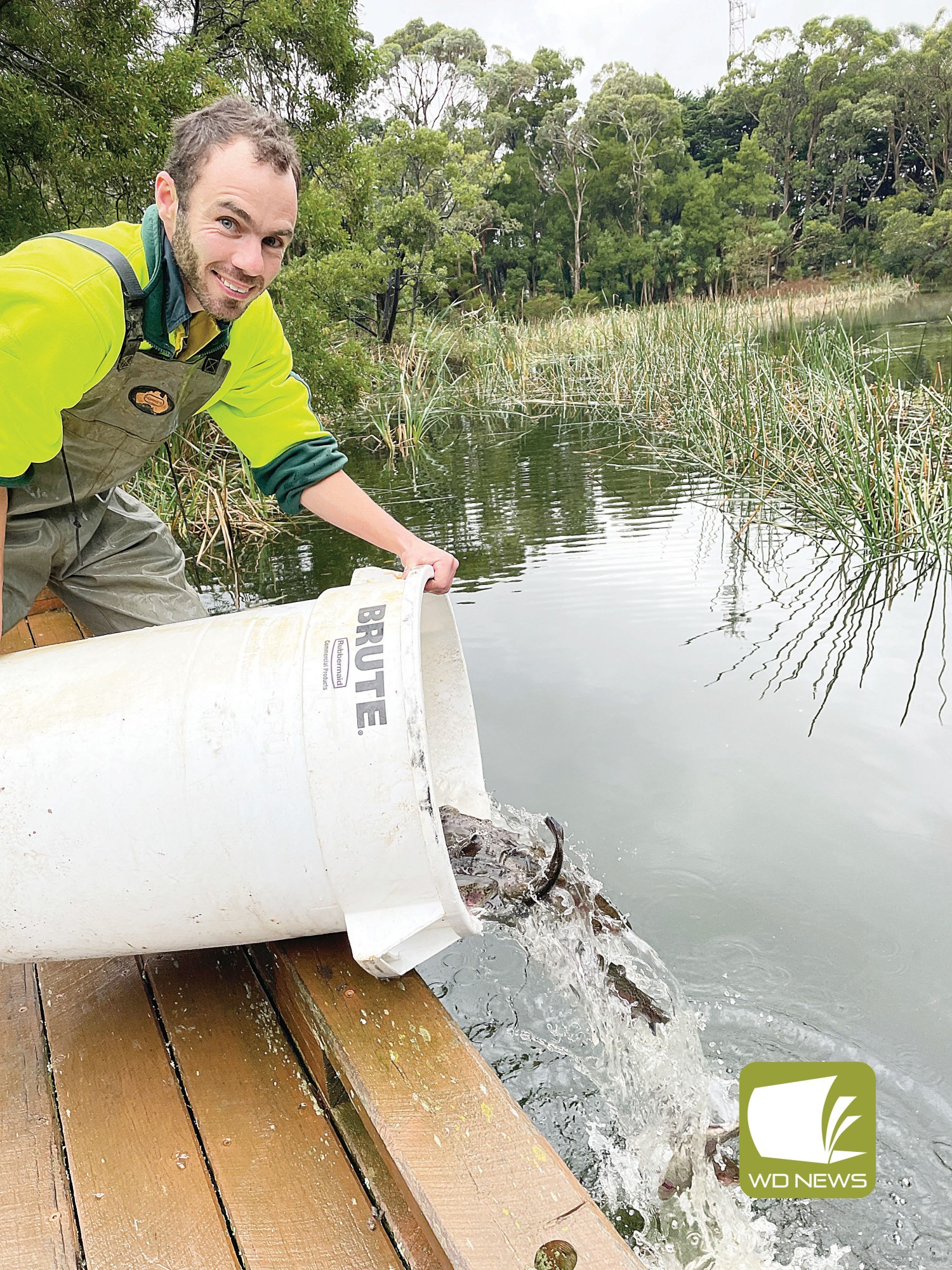 Fish stocking: Fisheries’ driver Mark stocks rainbow trout at Simpson ahead of the school holidays.