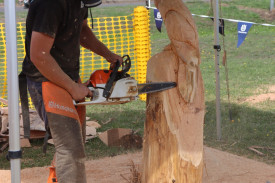 Heytesbury Show attendees were wowed by wood carvings on the day. 