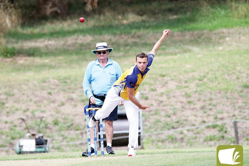 Under 16 cricketers in action.