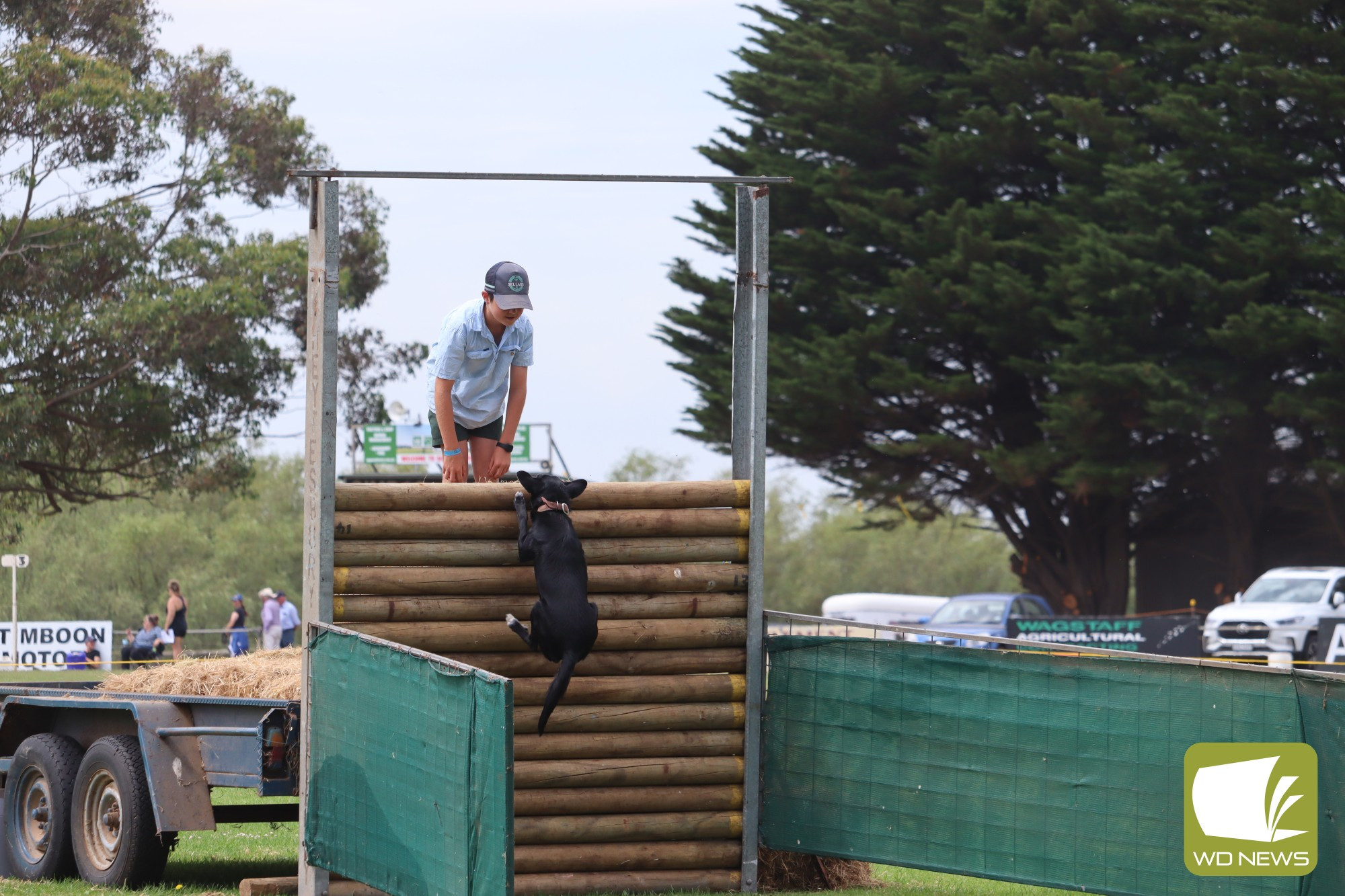 Molly takes on the dog jump event.