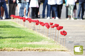 Poppies adorned the path to the memorial. 