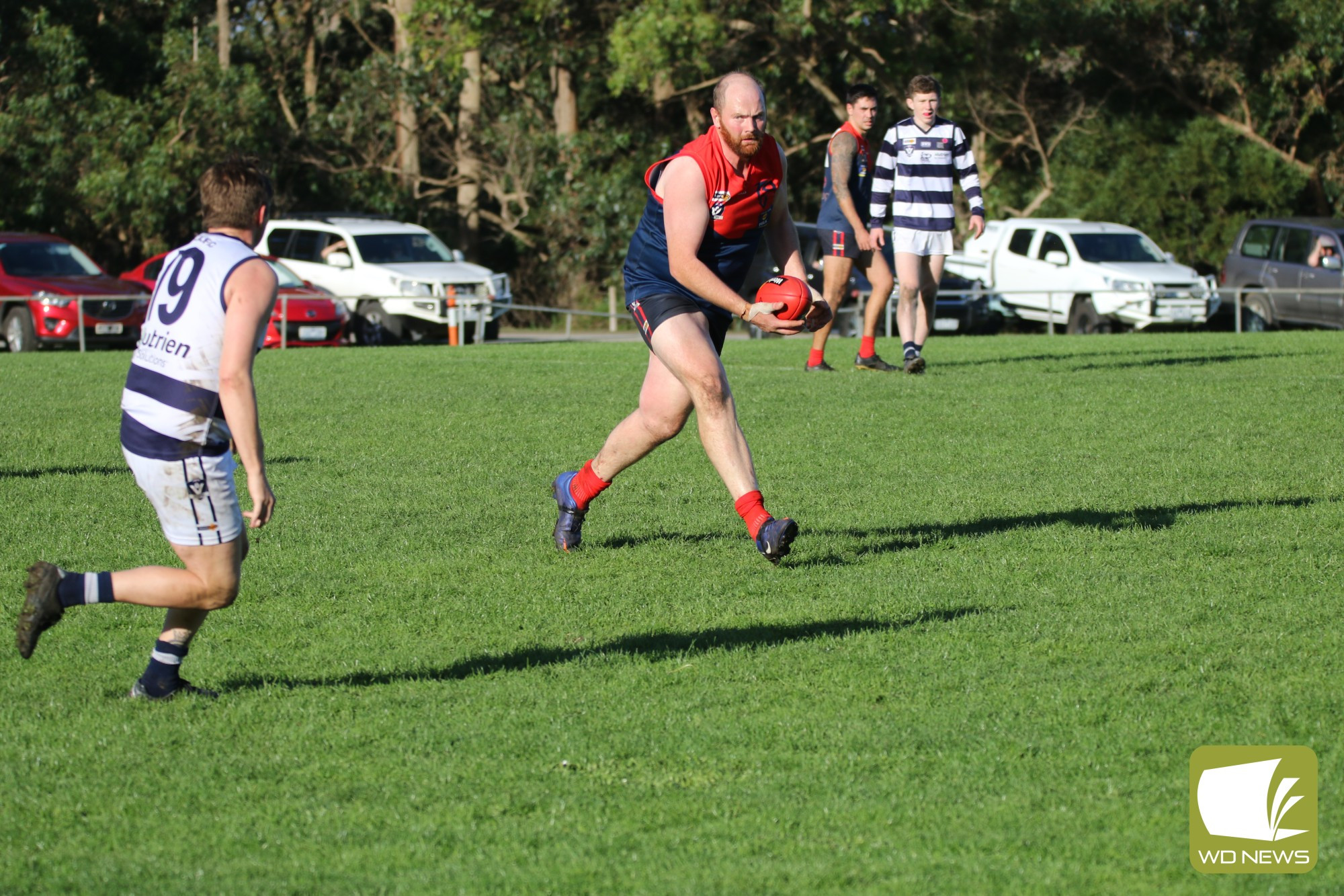 Demons fall to Cats - feature photo