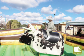 Jasper Reid, 3, rides the bucking bull. 
