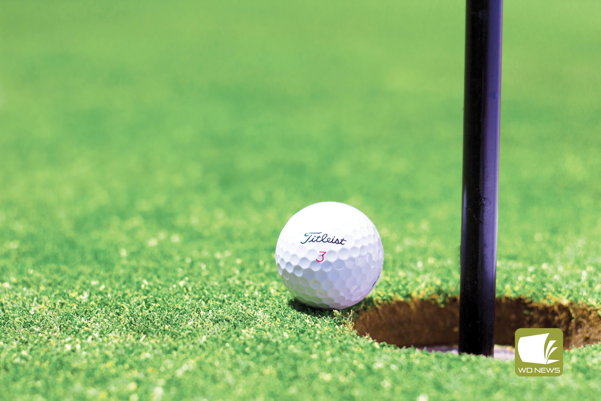 Stroke event for first round of championships - feature photo