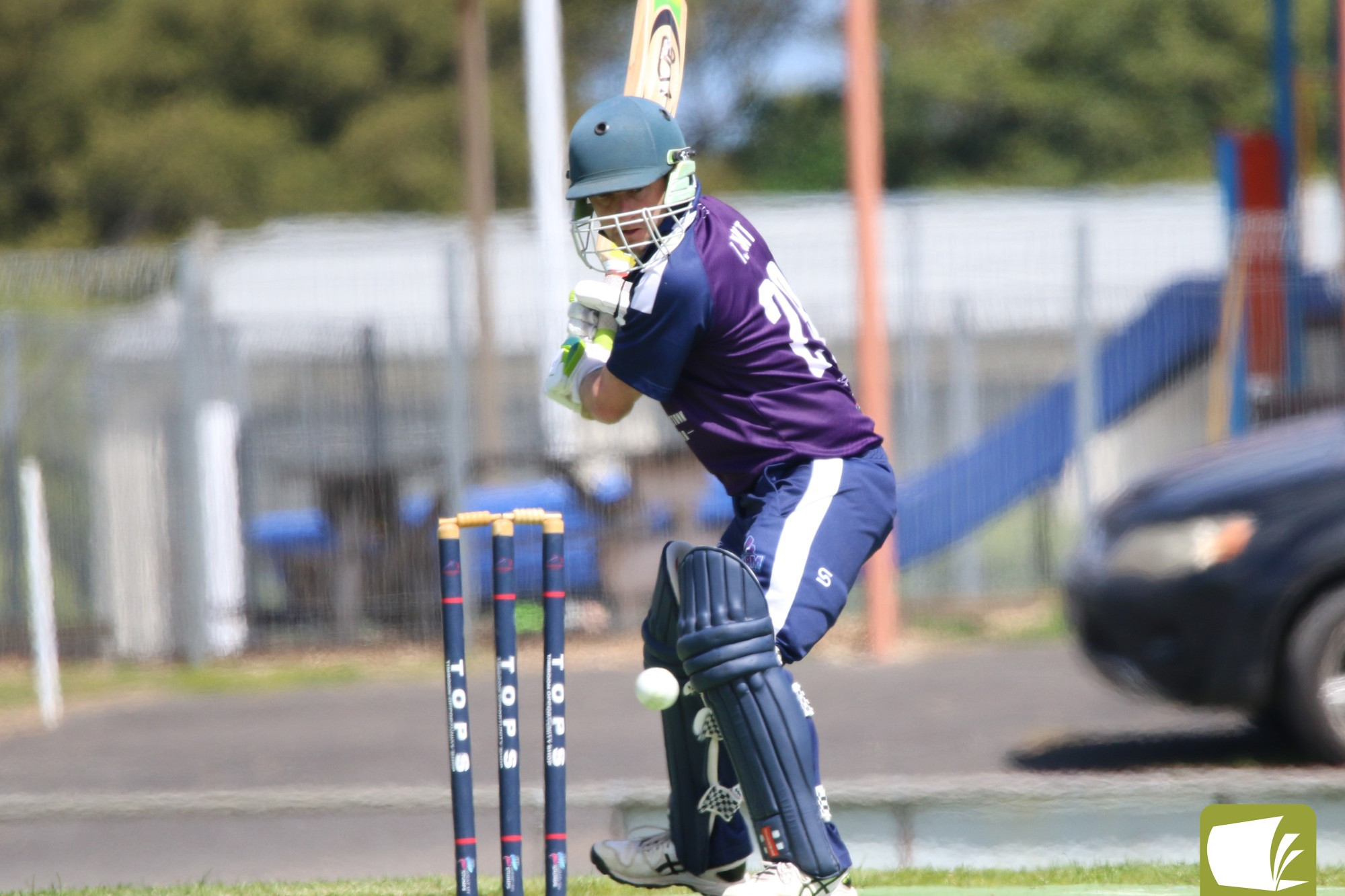 Great form continues for Storm - feature photo