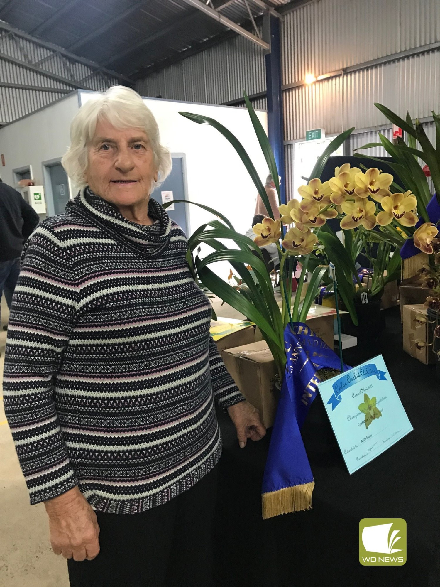 See the show: Anita Evans with her Champion Standard Cymbidium. Find out more about orchids at this weekend’s Cobden and District Orchid Club Show.