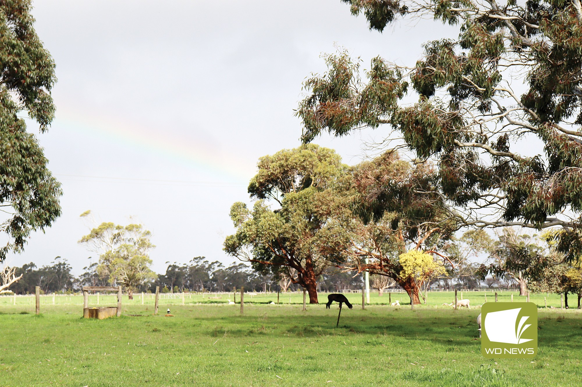 Rainbow: There was less rain than average throughout winter this year.