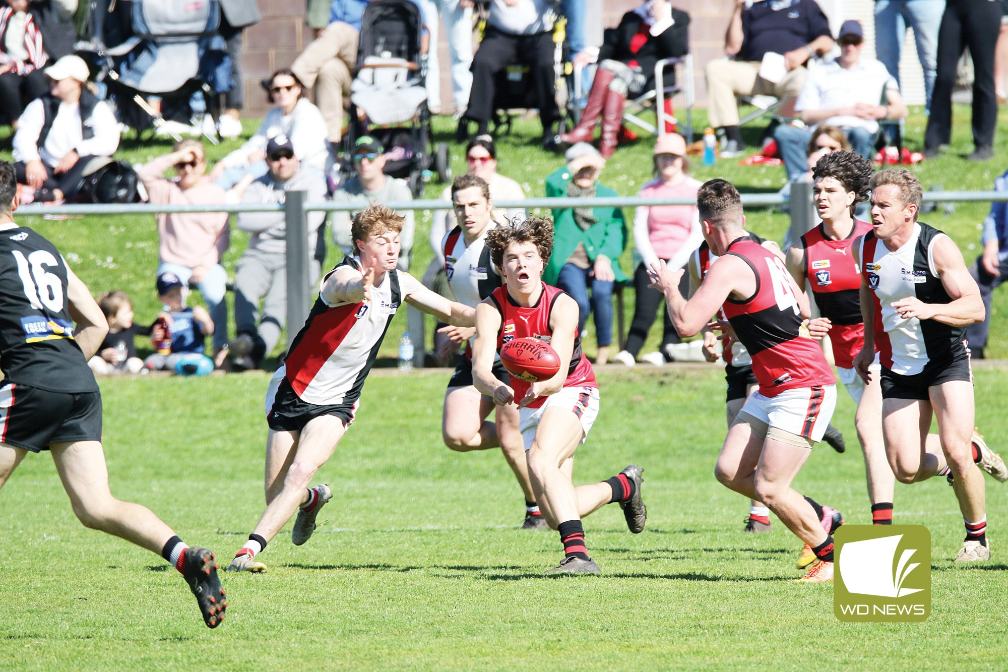 FINALS FEVER- Cobden V Koroit - feature photo