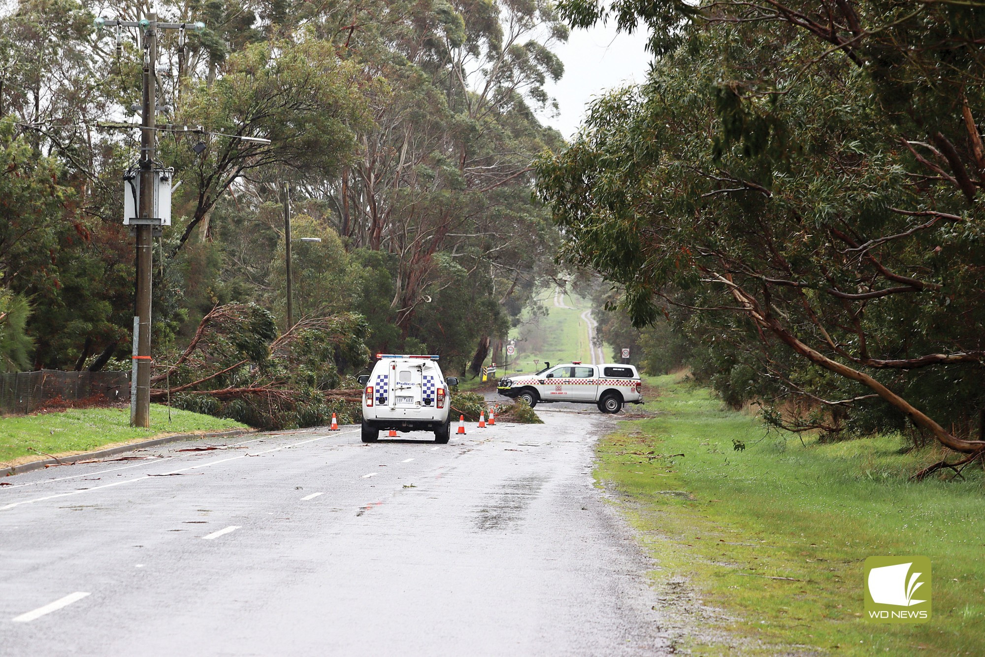 Windy day: Emergency services helped cordon off a tree which fell on a powerline in McKenzie Street Cobden on Friday.
