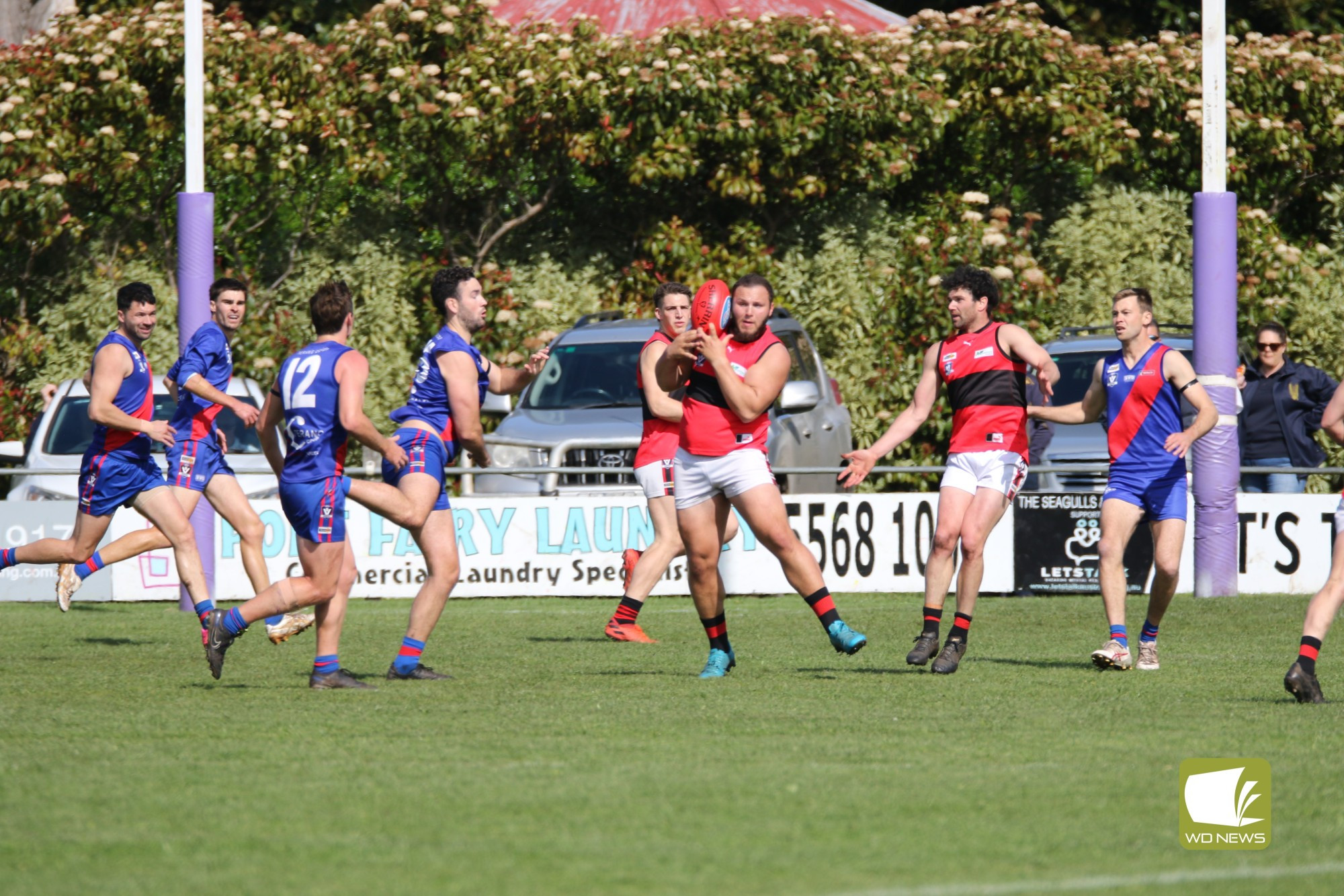 FINALS FEVER- Terang Mortlake V Cobden- Seniors Elimination Final - feature photo