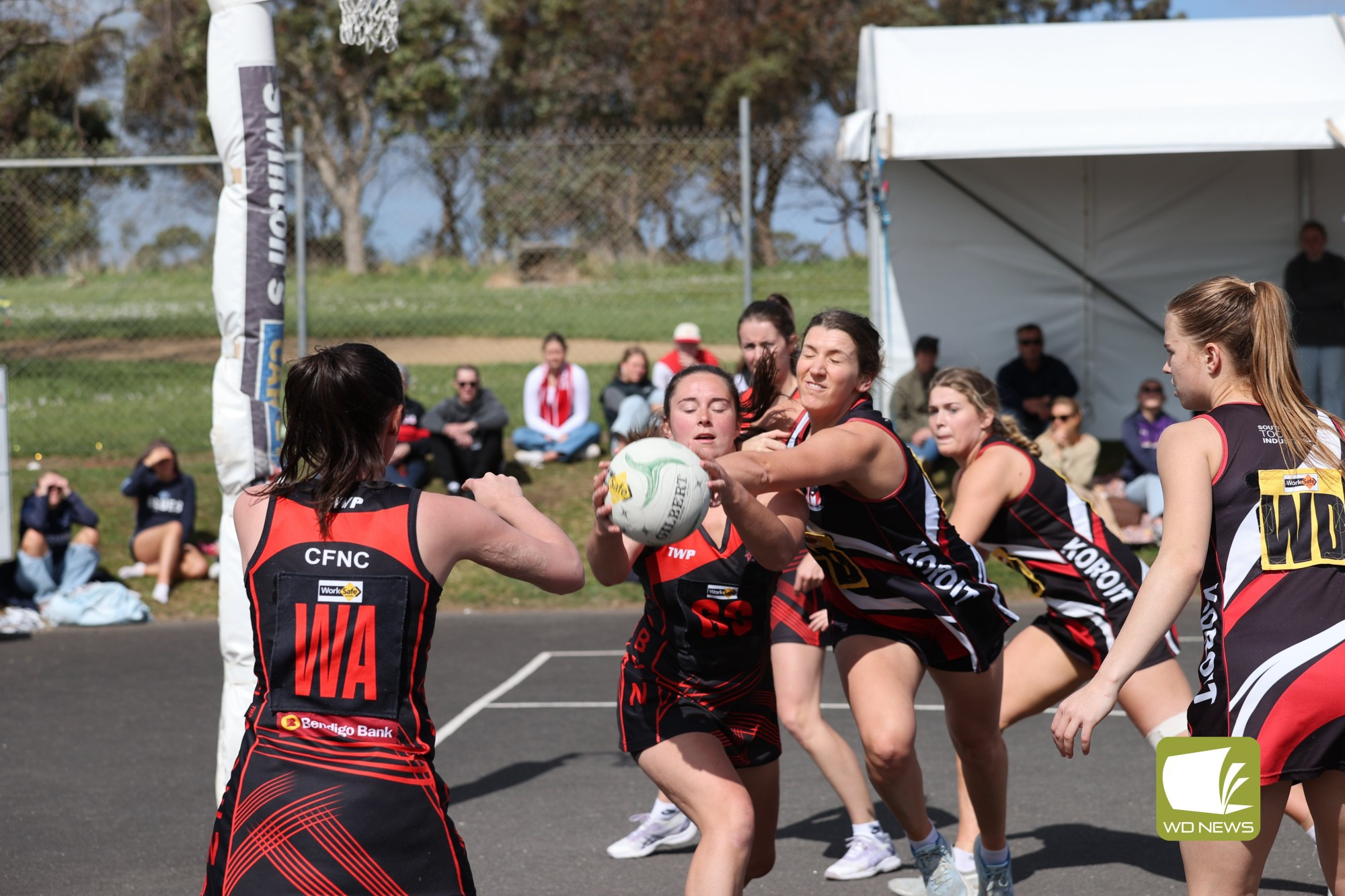 FINALS FEVER- Cobden V Koroit- OPEN NETBALL Preliminary final - feature photo