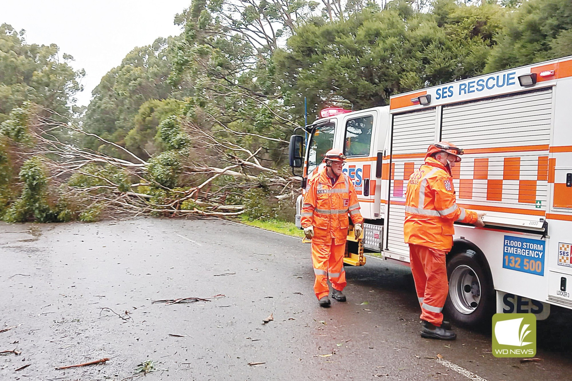 Cobden SES unit attended to 18 call outs during the wild weather earlier this month.