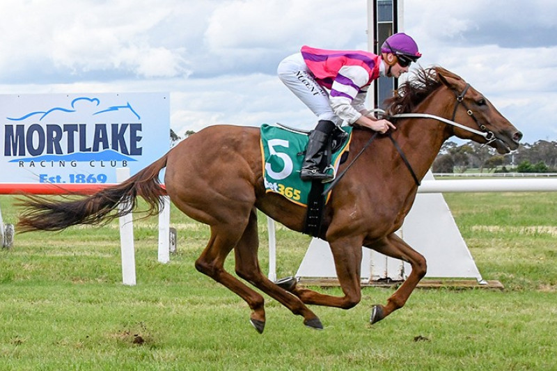 Miss Damita, for trainers Mick Price and Michael Kent Junior, captures the 150th Mortlake Cup.