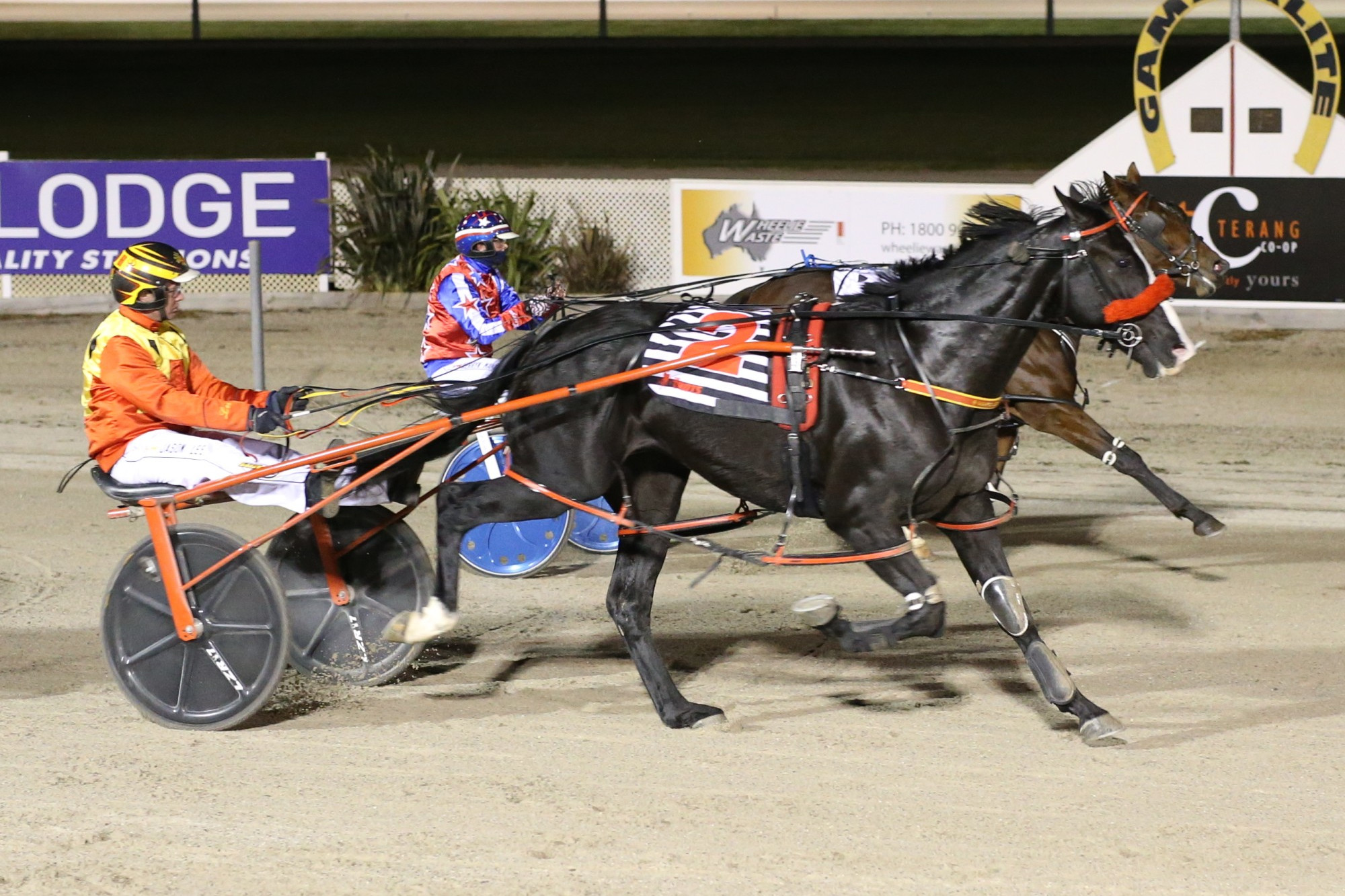 Keayang Kamikaze recorded its maiden victory for trainer Marg Lee in the Terang Co-Op Rural Store two year-old pace.