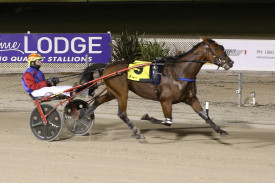 Travel Bug scored a comfortable win in the $12,000 Wheelie Waste Trotters Handicap. 