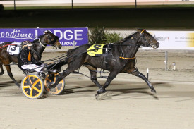 Creative Lad took out the Royal Precision Lubricants Pace for Jim Barker and his granddaughter driver Jackie. 