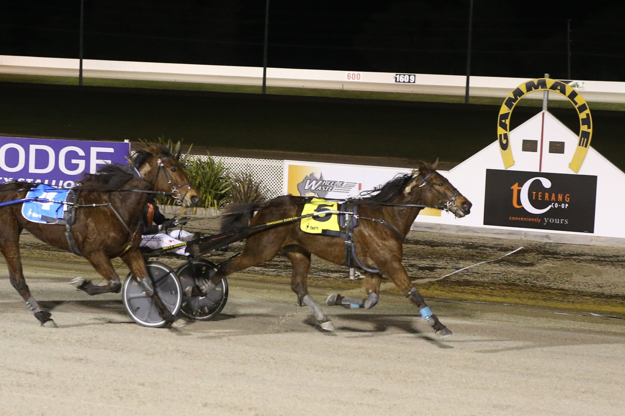 Aldebaran Rocky with driver Jackie Barker (obscured) finally ended a 20 run winless start to its trotting career with victory in the Terang Co-op Trotters Handicap for Kolora trainer Barry Beasley at Terang last Wednesday.