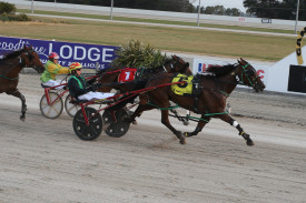Chief Safari took out the South West Horse Transport Pace over 2180 metres for trainer Noel Hill and reinsman James Herbertson. 