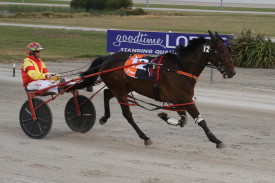 Jilliby Lorenzo picked up his fifth career win in the Ken and Daphne Pocock Memorial Pace for trainer Margaret Lee and driver Glen Craven. 