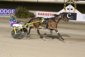 Trainer Steven Fennell and reinsman Jason Lee teamed up for their second success of the meet with Elizabethan Era in the Matthews Petroleum Pace. 