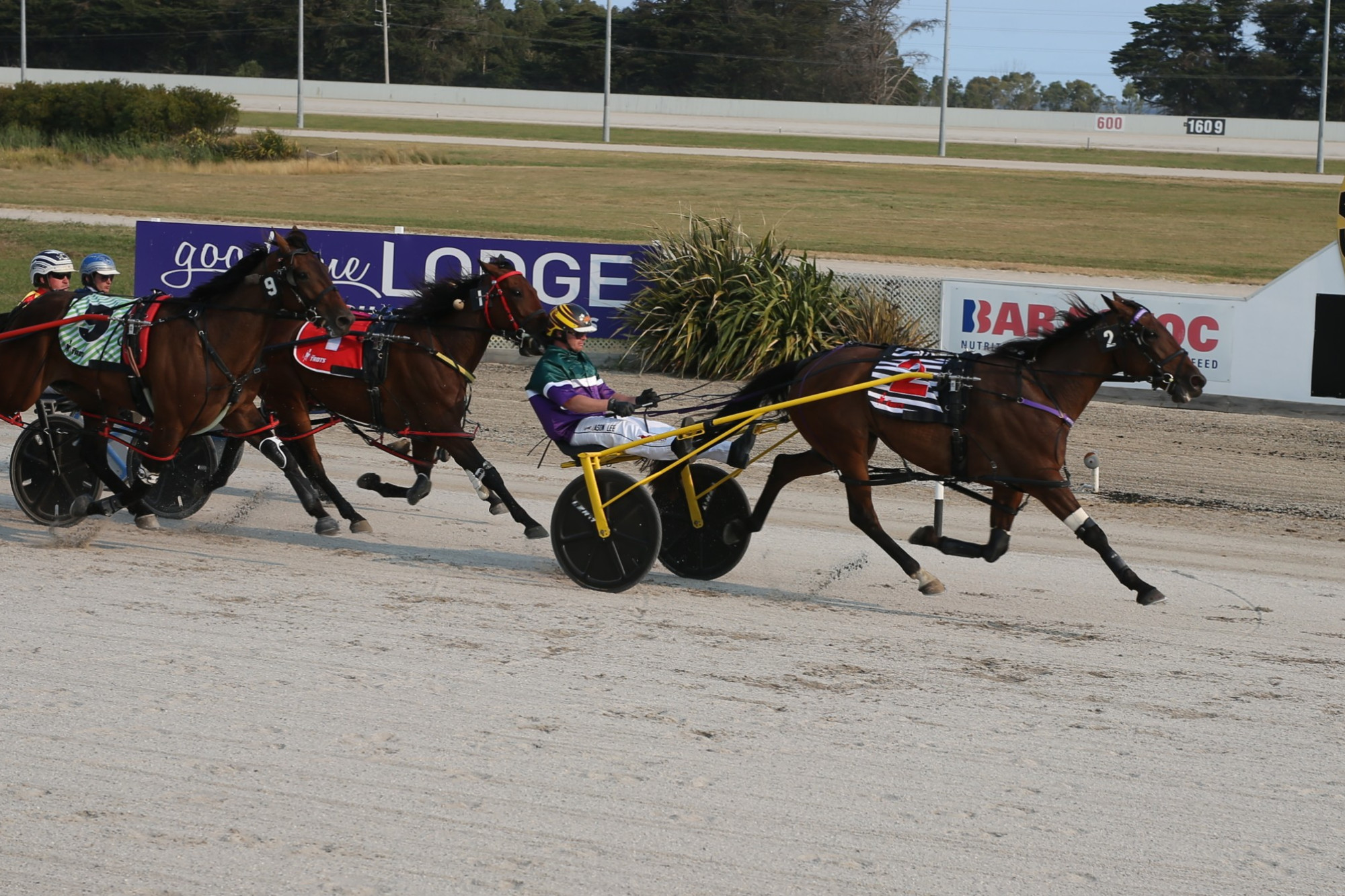 Jason Lee won the Goodtime Lodge Pace with outside prospect Bezza.