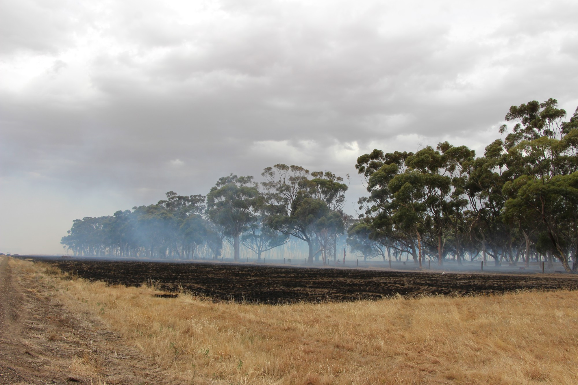 Team effort: Firefighters stopped the spread of a grass fire in Woorndoo about an hour and a half after it ignited last Wednesday.