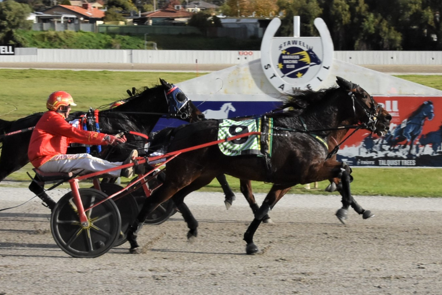 Matthew Craven and Pink Galahs, pictured winning together at Stawell last month, will team-up again in the Aldebaran Park Trot at Melton on Friday night. Picture supplied by Claire Weston Photography.