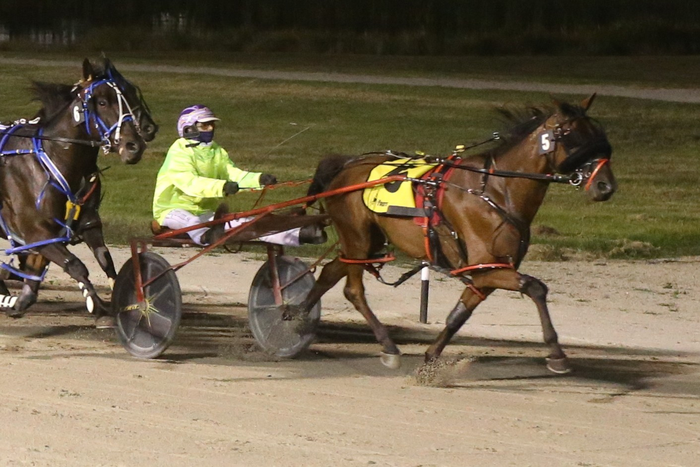 The Matthew Craven trained Shanway was a last start winner at Terang.